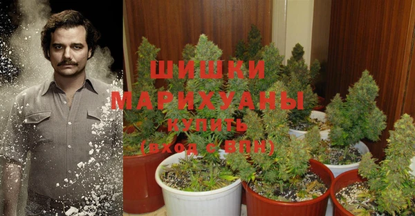 ПСИЛОЦИБИНОВЫЕ ГРИБЫ Навашино