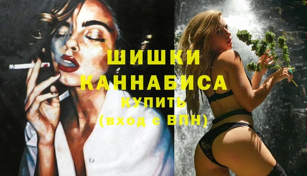 ПСИЛОЦИБИНОВЫЕ ГРИБЫ Навашино
