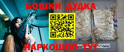 PSILOCYBIN Гатчина