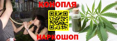 PSILOCYBIN Гатчина