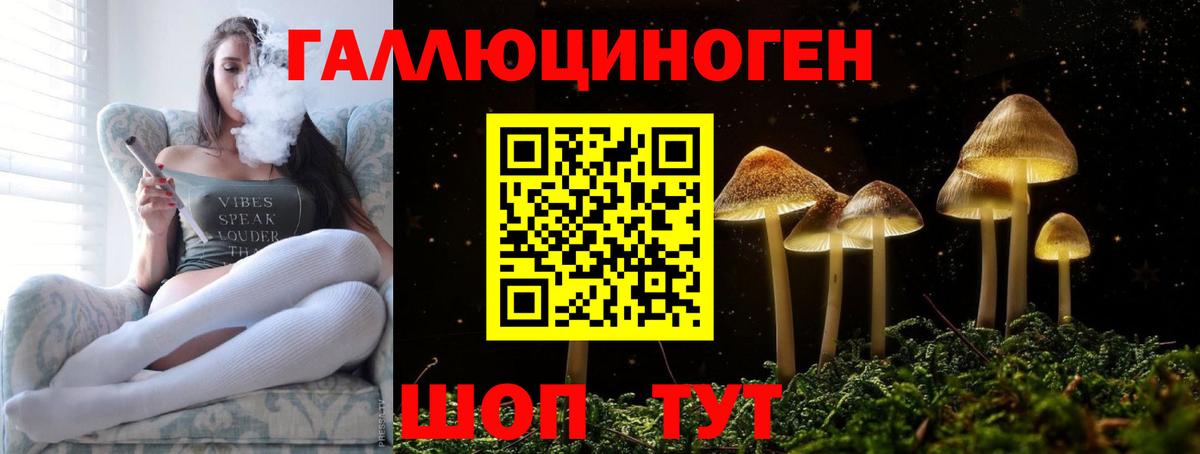 Псилоцибиновые грибы мухоморы Губкинский