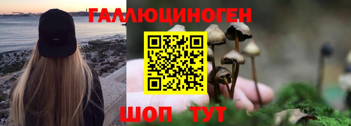 Псилоцибиновые грибы GOLDEN TEACHER  цена наркотик  Губкинский 