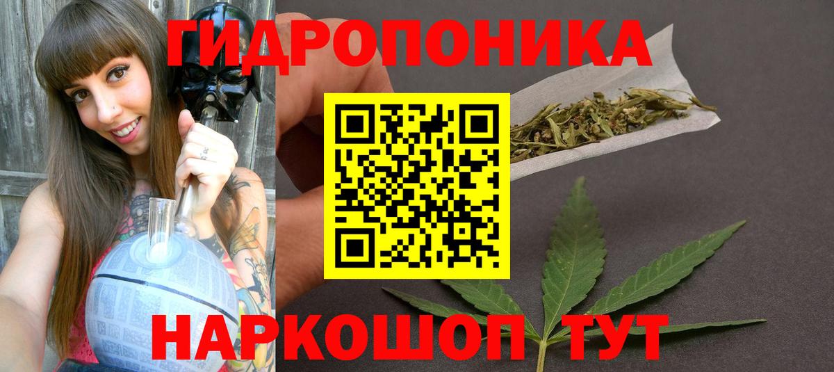 Конопля White Widow  Губкинский  Каннабис конопля  Канабис VHQ  Шишки марихуана AK-47 